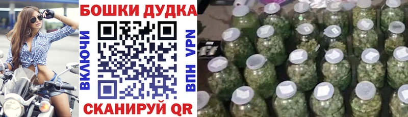 как найти наркотики  Фёдоровский  это какой сайт  Конопля White Widow 